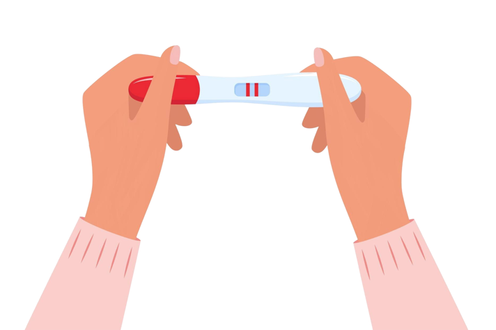 An illustration of two hands holding a pregnancy test with two clear red lines in the centre suggesting the person is pregnant.